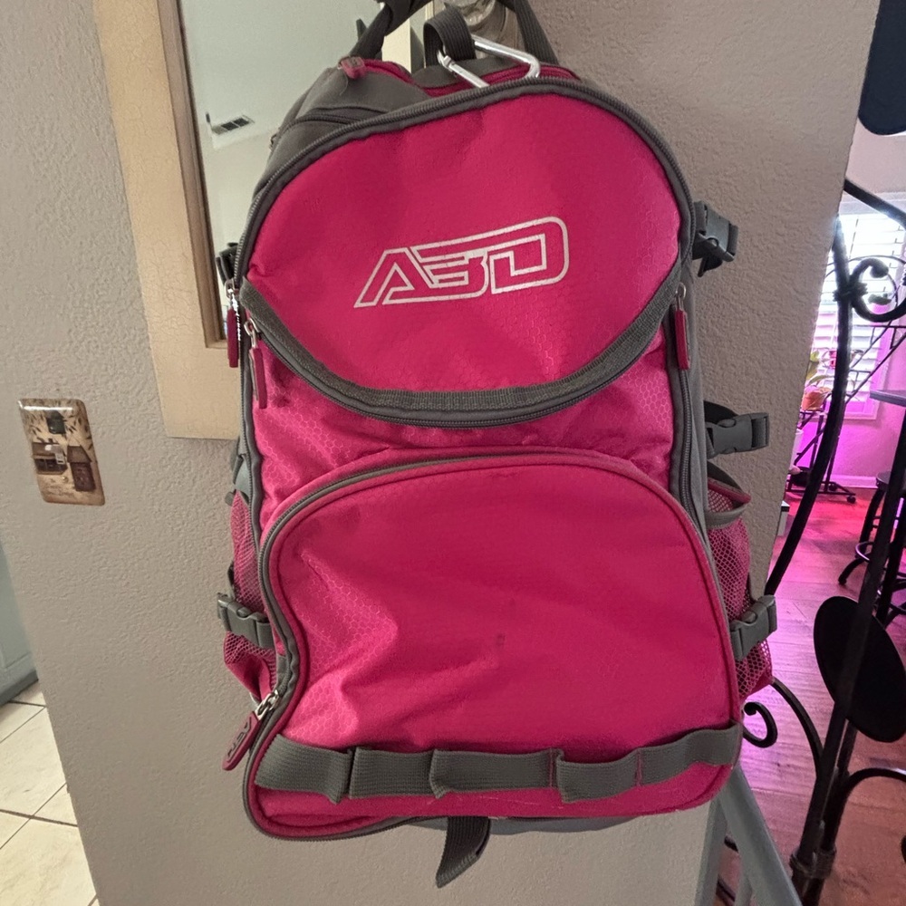 Pink and Gray Backpack
